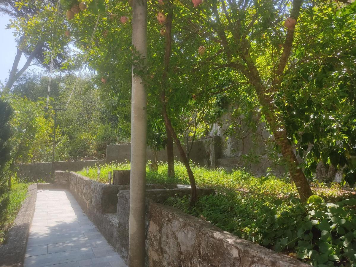 Apartman Arbanas Dubrovnik Exterior foto